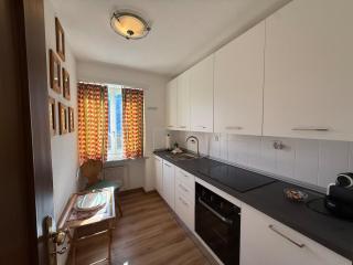 StMoritz Center Vintage Terrace 180 full lake view - 6