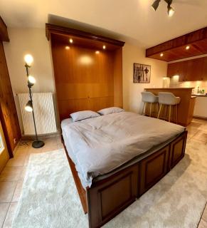 Pied de piste et à 5min des Bains d'Hérémence - 7