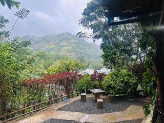 Ella Hide Forest Cottage - 1