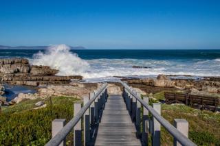 Whale Rock Estate Apartment - 5