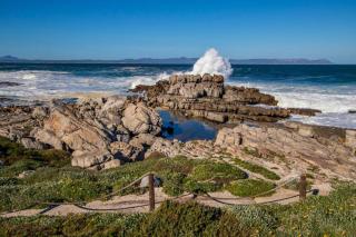 Whale Rock Estate Apartment - 3