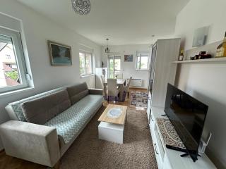 studio apartman elegant marinkovic - 5