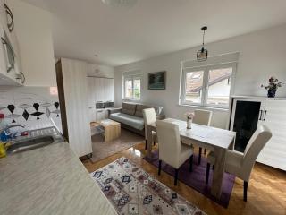 studio apartman elegant marinkovic - 0