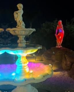 Villa Liliana Piroska - 9