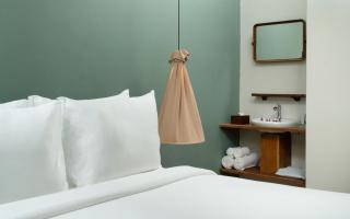 The Tree - Adults only - 2