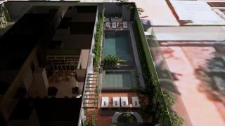 The Tree - Adults only - 6