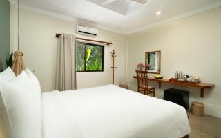 The Tree - Adults only - 1