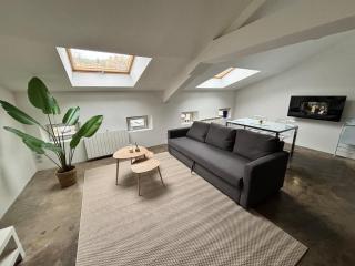 Appartement loft proche frontières - 0