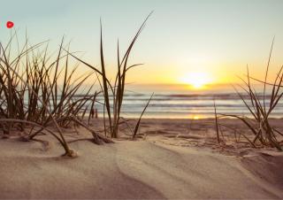 Jardin-Marin-Ajaccio - 6
