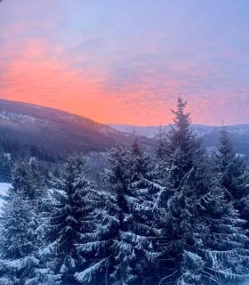 Chalet close to the Clouds - 4