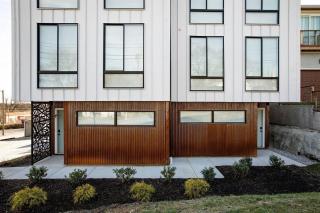 The Wild Ferns AB - 9