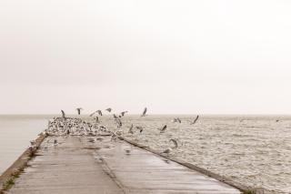 Wave 21 Nida Self Check-In Apartment - 2