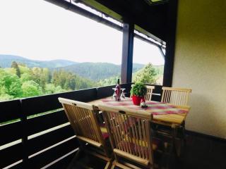 Ferienwohnung am Glockenberg Sankt Andreasberg Harz - 8