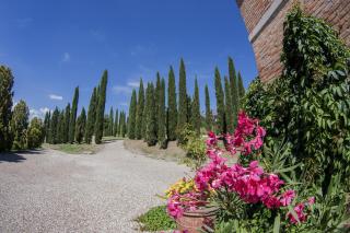 Agriturismo Sant'Alfredo - Monteroni d'Arbia - 4