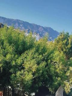 Lighthouse Hotel - 8