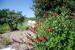 Villa du Chêne Vert proche de la nature - 1