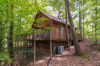 Gorgeous View Cabin - in Red River Gorge KY - 3