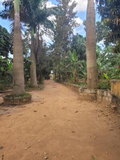 Residential Home with Nature - 9