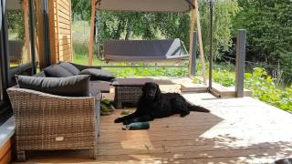 TinyHousebeiDresden Zwischen den Teichen und auf der Pferdekoppel Kaminofen Terrasse Klimaanlage - 1