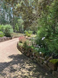 The Courtyard at La Loggia - 4