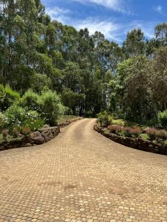 The Courtyard at La Loggia - 6
