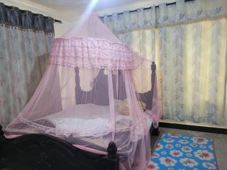 Residential Home with Nature - 5