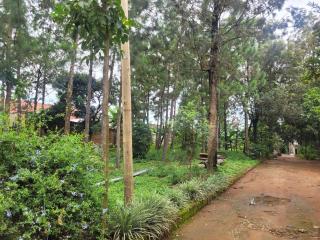 Residential Home with Nature - 3