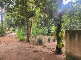 Residential Home with Nature - 2