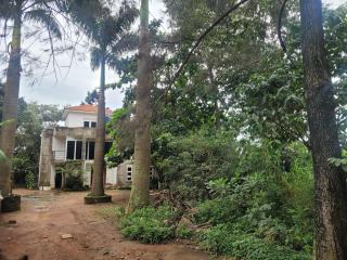 Residential Home with Nature - 1