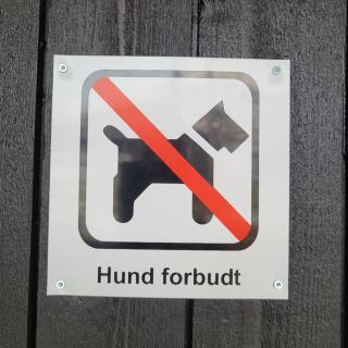 Lapphaugen Turiststasjon - 9