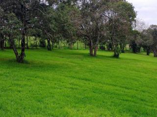 Aberdare Juniper Green Gardens Resort - 2