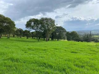 Aberdare Juniper Green Gardens Resort - 3