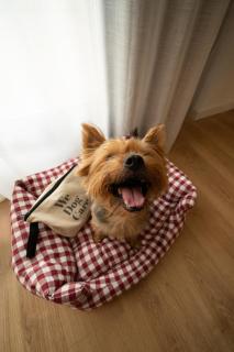 INNSiDE by Melia Valencia Oceanic - 2