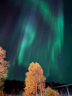 Apartment in Målselv - 7