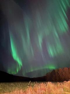 Apartment in Målselv - 2