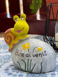 Casa de Vacanta Razvan si Andrei - 4