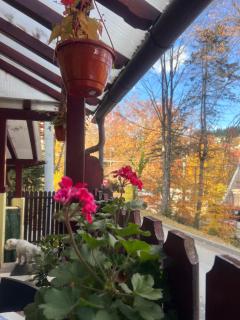 Casa de Vacanta Razvan si Andrei - 6