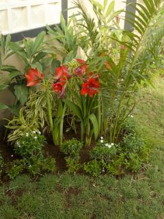 Bagus ayu Lovina homestay - 1