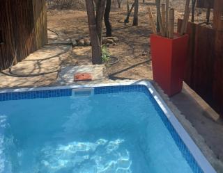 Sunbirds at Kruger - 4