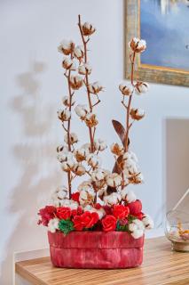 Apartament B B Boutik C - 1