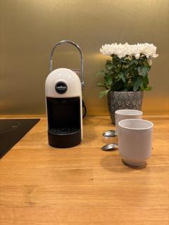 Le Jardin Suspendu Vieux-Lyon - Option Garage - 2