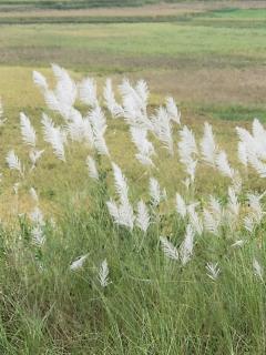 Ruộng Cafe & Homestay - 1