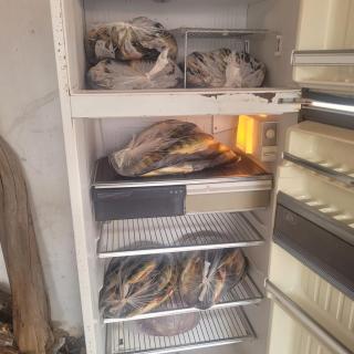 Casa verde temporada - 3