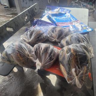 Casa verde temporada - 4