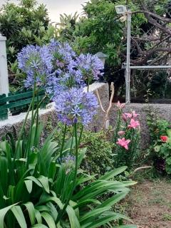 Holiday Home LaCerca - 7