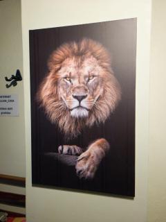 Pousada Jardim Secreto - 6