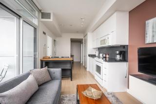 Modern 1 Bedroom Condo Iceboat Terrace Downtown Toronto - 2