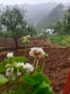 Sri Harshini Villa - 7