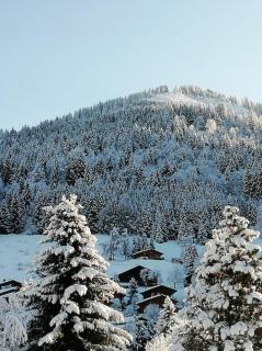 Apt at the foot of slopes 3 - 7