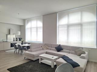 Louise Luxe Stay in Central Brussels - 9